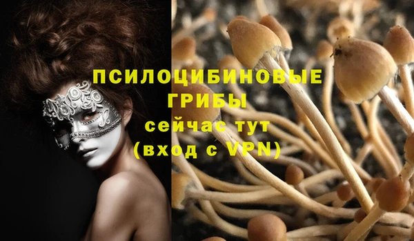 эйфоретик Абаза
