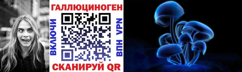 Галлюциногенные грибы GOLDEN TEACHER Дубовка